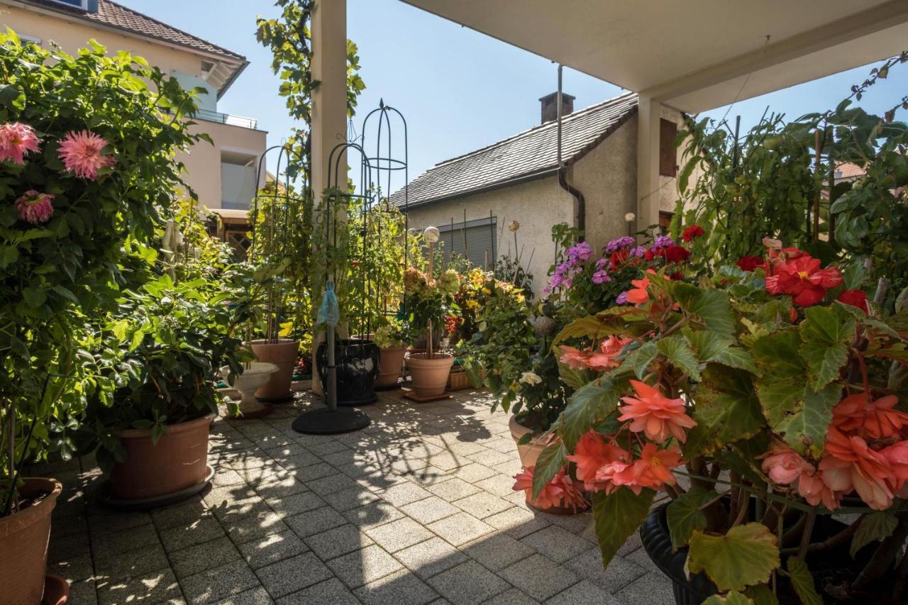 Gruene Oase Apartment Friedrichshafen Luaran gambar